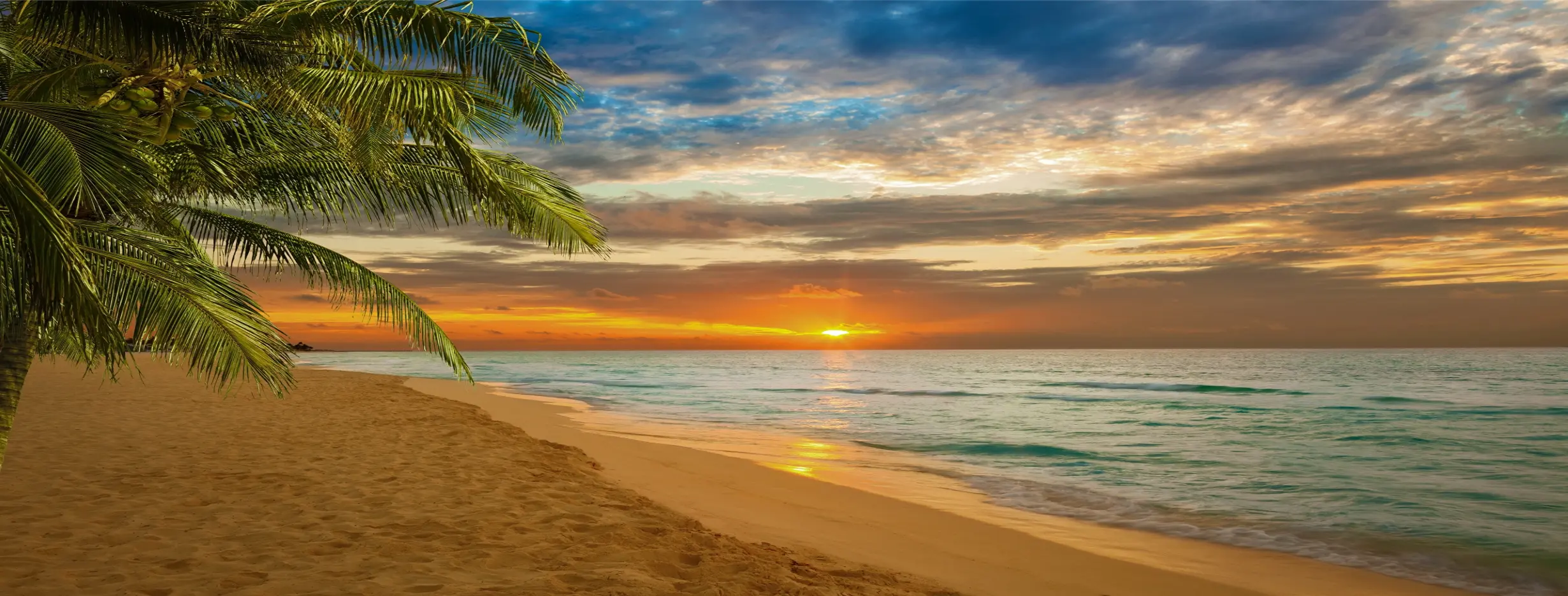 Image for Coastal Paradise